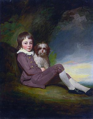 George, Lord Brooke (1772–1786), by George Romney