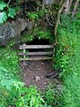 Haugh Mill Lade Tunnel - Kingencleugh