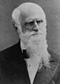 Henry Brewerton