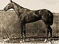 Hindoo (USA)