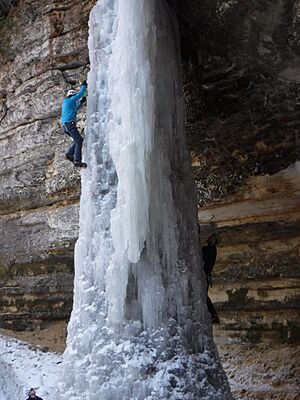 Ice Climbing on the Dryer Hose (bd71f8e3-e675-4a6b-bb6a-2e228d9038cb)