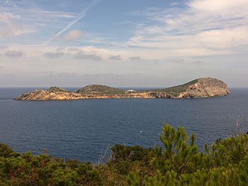Island Tagomago (from Punta d’en Valls on Ibiza).jpg