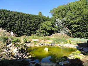 J. C. Raulston Arboretum - DSC06195