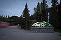 Jasper-Bear-Hunt-11
