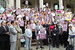 June 2012 Rally against NYU at City Hall