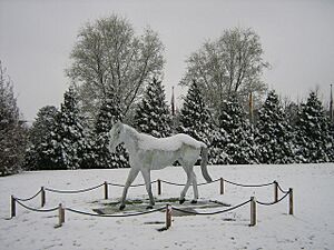 Kempton Park Racecourse - geograph.org.uk - 1145906