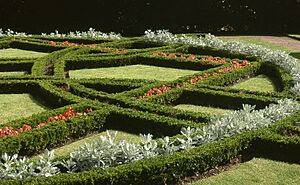 Knotenbeet St Fagans