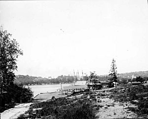 Lake Union frontage of the Univ of Wash campus 1919 (COBB 354)