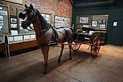 Lamar County Historical Museum February 2016 07 (Searight buggy)