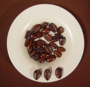Liberica coffee beans, roasted