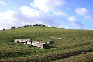 Lingley Knoll (geograph 2753979).jpg