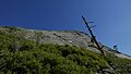 Lovers Leap in Strawberry, CA 2