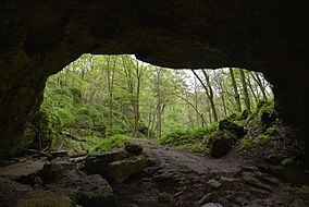 Maquoketa Caves 02.jpg