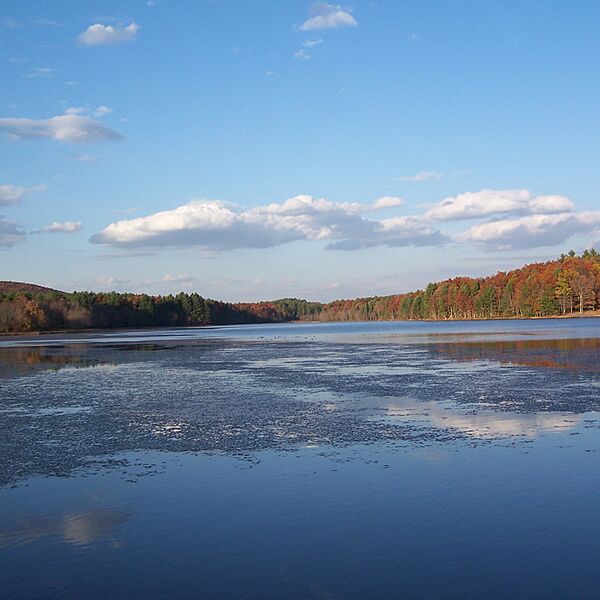 Moncove Lake-square
