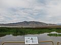 Mount Peavine from Swan Lake NSA