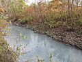 North Branch Shamokin Creek 2