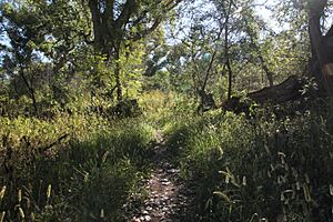 PATAGONIA-SONOITA CREEK PRESERVE, SCC, AZ -06 (5042819454)