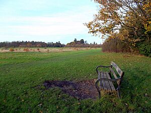 Park Bench, Cranford Park - geograph.org.uk - 2709032
