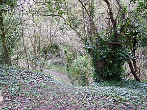 Peters Pit 3