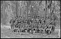 Photograph of U. S. infantrymen, Florida, 1915 - DPLA - 3543a9a493a4174e72c2d637b8a23649