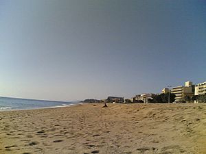 Pineda de Mar beach (02-2008).jpg