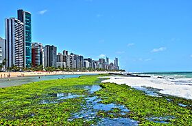 Praia de Boa Viagem , Pernambuco
