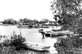 Queensland State Archives 1134 Excursion Lanches Maroochy River January 1931.png