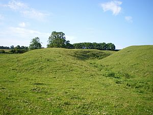 Ramparts on the NW side of Warham Fort - geograph.org.uk - 1403867.jpg