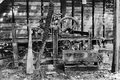 Remains of Alexander Manly's "The Daily Record"