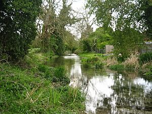 River Lambourn leaving Lambourn, Berkshire