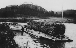 River barge transporting rakes of cut sugar cane at Dunethin Rock Queensland 1920sf