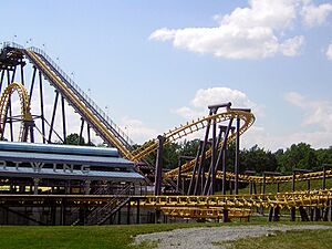 SFA-Batwing