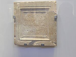 Samuel and Saidye Bronfman Archaeology WingDSCN5101