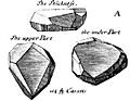 Schets van de ruwe Hope diamant door Tavernier