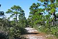 SeabranchPreserveStatePark