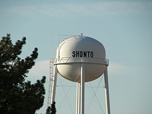 Shonto water tower, June 2006