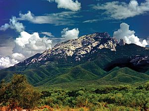 Sierra de San Carlos Facts for Kids