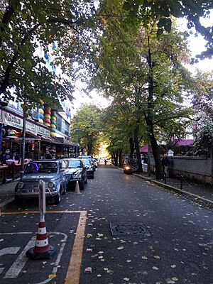 Streets of Tirana 2016