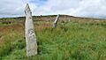 Stripple Stones henge and stone circle (geograph 6416860)