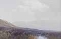 Taw Marsh, Dartmoor - Frederick John Widgery - 107-1998-1