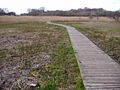 The Boardwalk, Southrepps Common - geograph.org.uk - 1243615