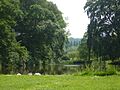 The Lake at Mount Ephraim Gardens, Hernhill - geograph.org.uk - 836185