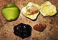 Thevetia peruviana - Fruits