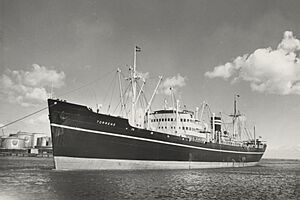 Torrens (IMO 5365302) Sjöhistoriska museet Fo8347A