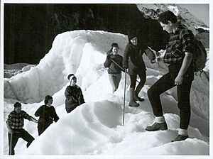 Tourists climbing Fox Glacier 1966 (25898945172)
