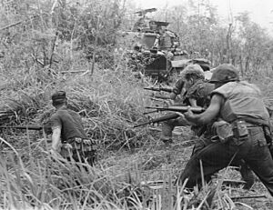 U.S. Marines in Operation Allen Brook (Vietnam War) 001