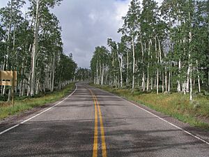 Utah State Route 25 En Route to Fish Lake, Utah