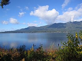 View of Lake Quinault.jpg