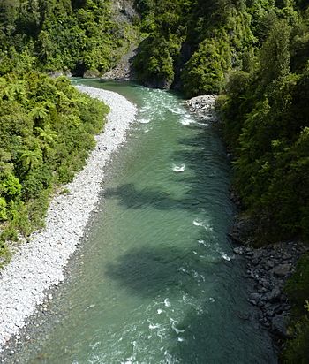 Waiohine River, Waiohine Gorge, Tararua Range, New Zealand (1).JPG