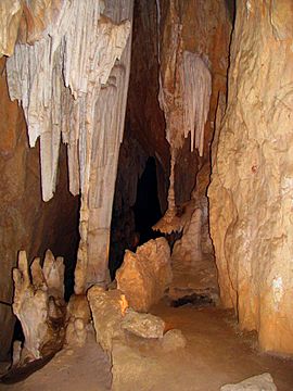 Wombeyan Caves Fig Tree Cave Interior.jpg